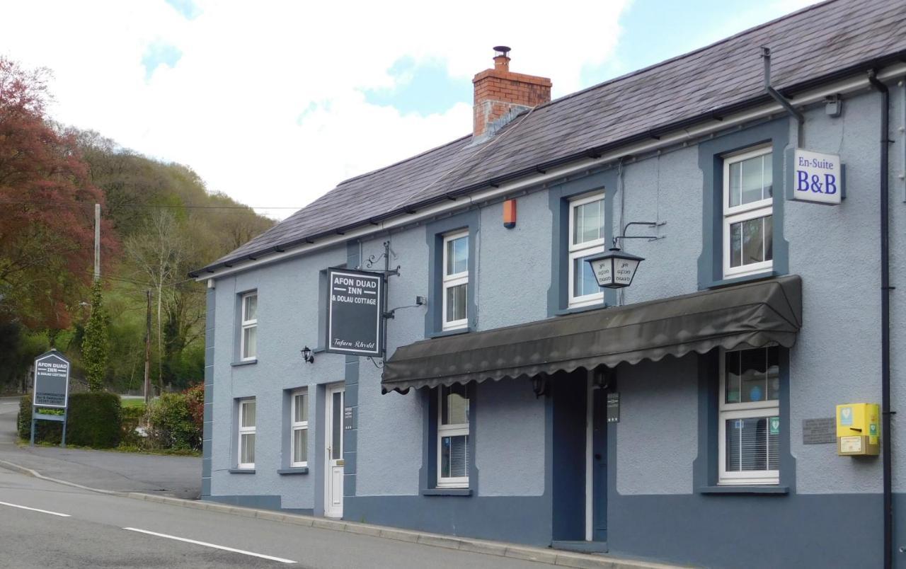 Afon Duad Inn Cwm-Duad Exteriör bild