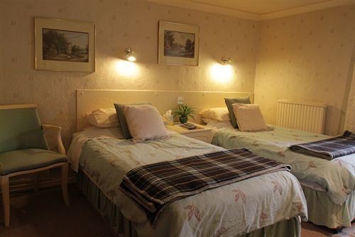 Afon Duad Inn Cwm-Duad Exteriör bild