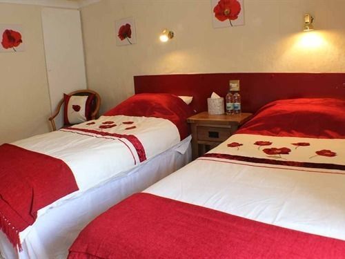 Afon Duad Inn Cwm-Duad Exteriör bild